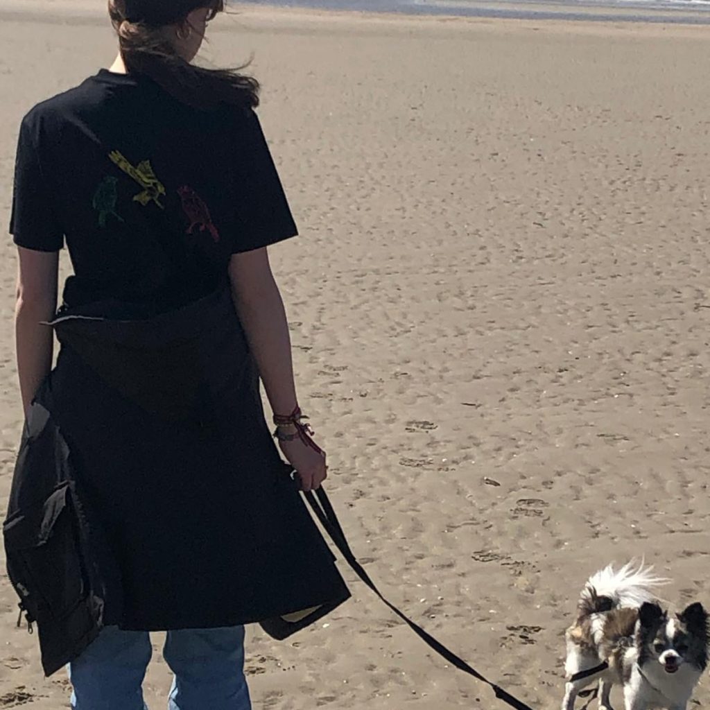 df6ccabb-30df-48c9-982c-6d90381df4b6 copy